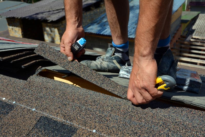 Asphalt Roof Repair Image 1