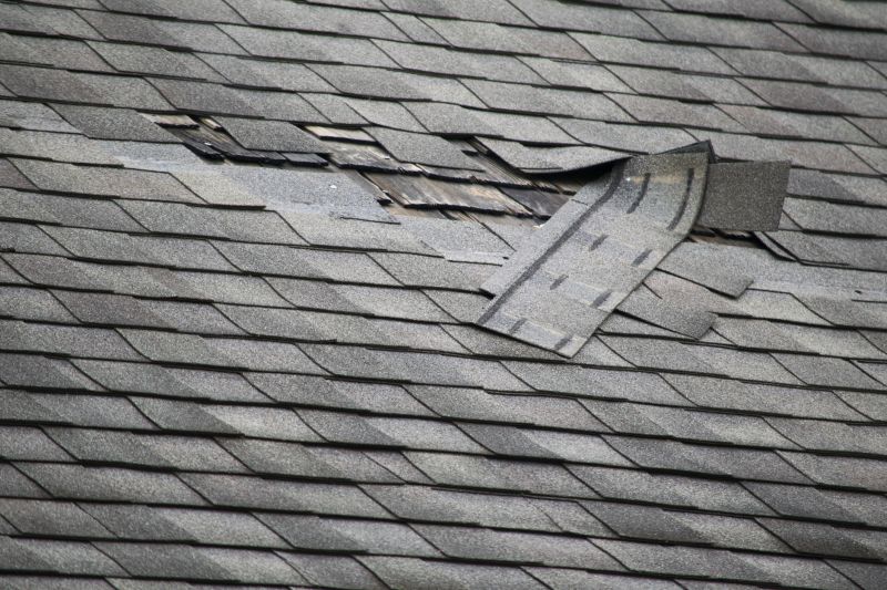 Asphalt Roof Repair Image 2