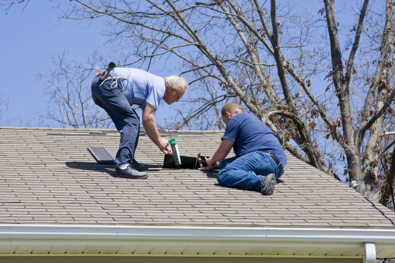Professional Asphalt Shingle Repair 1