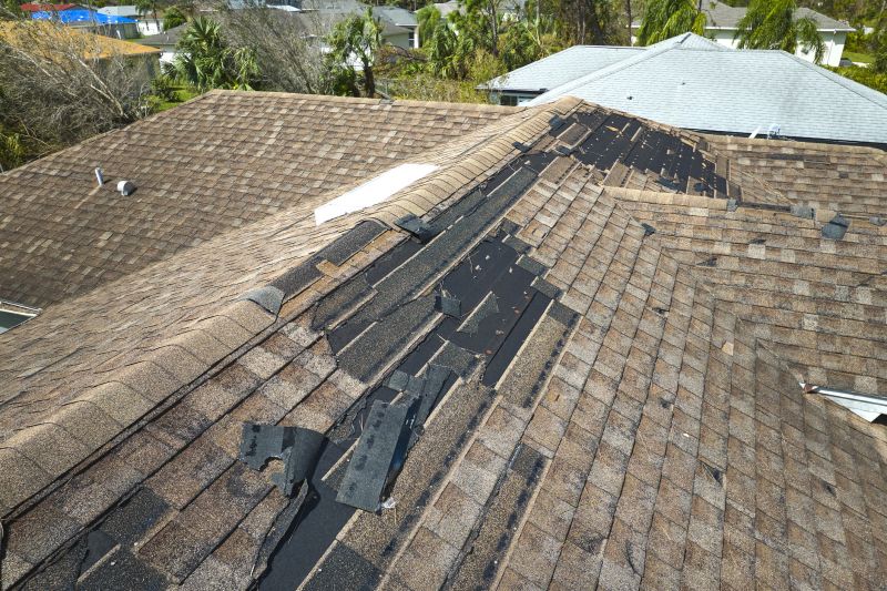 Professional Asphalt Shingle Repair 3