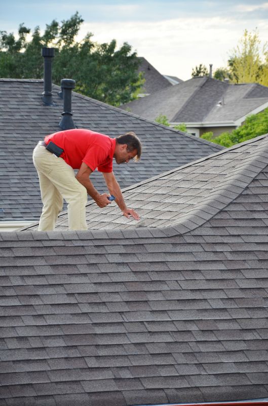 Roof Inspection